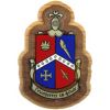 Alpha Delta Gamma - Decal Crest with Background