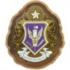 Alpha Phi Delta - Decal Crest with Background