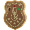 Iota Phi Theta - Decal Crest with Background