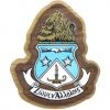 Alpha Delta Pi - Decal Crest with Background