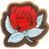 Alpha Omicron Pi (Rose) - Decal Crest with Background