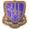 Delta Phi Epsilon - Decal Crest with Background