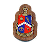 Alpha Delta Gamma - Mini Crest