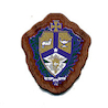 Alpha Kappa Lambda - Mini Crest