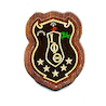 Iota Phi Theta - Mini Crest