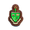 Alpha Sigma Tau - Mini Crest